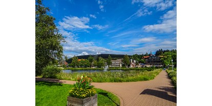 Hotel Immobilien - Kaufen - Hotel nähe 38640 Goslar (Harz) mit erfolgreichem Konzept, langfristig verpachtet als Renditeobjekt zu verkaufen